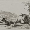Ansicht 1