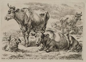 Rinder und Schaf auf der Weide