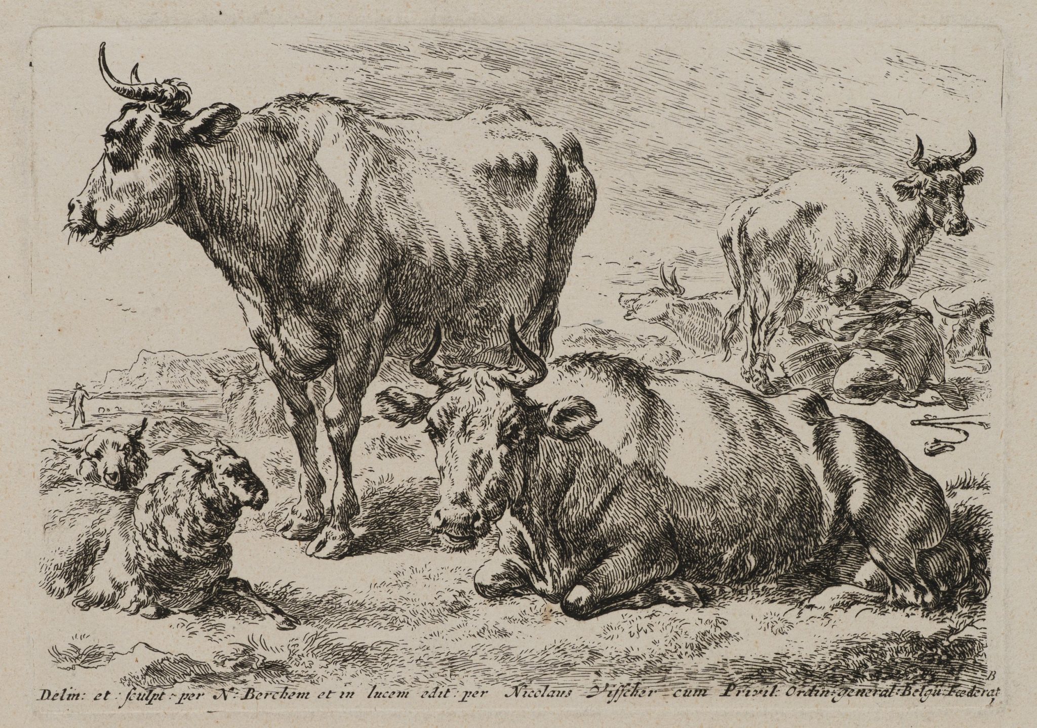 Ruhende Kühe und Schafe auf Weide