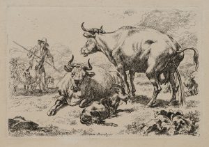 Pissende Kuh mit Hirten auf der Weide
