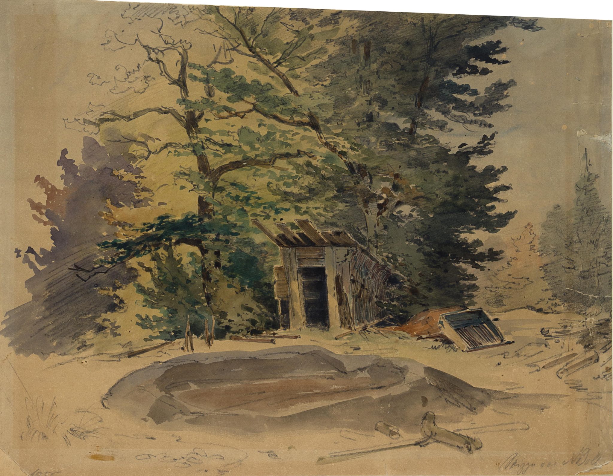 Alte Bretterhütte im Wald