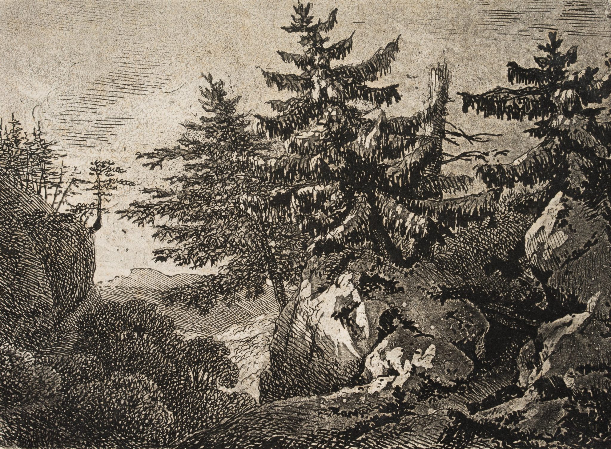 Lärche bei Nacht im Gebirge