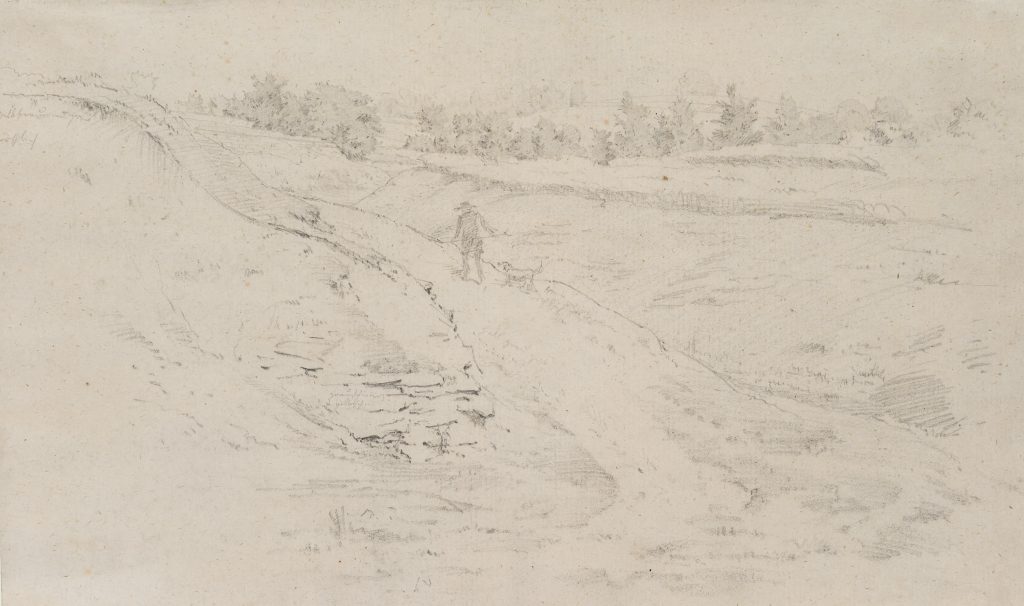 Werk von Rudolf Friedrich Wasmann