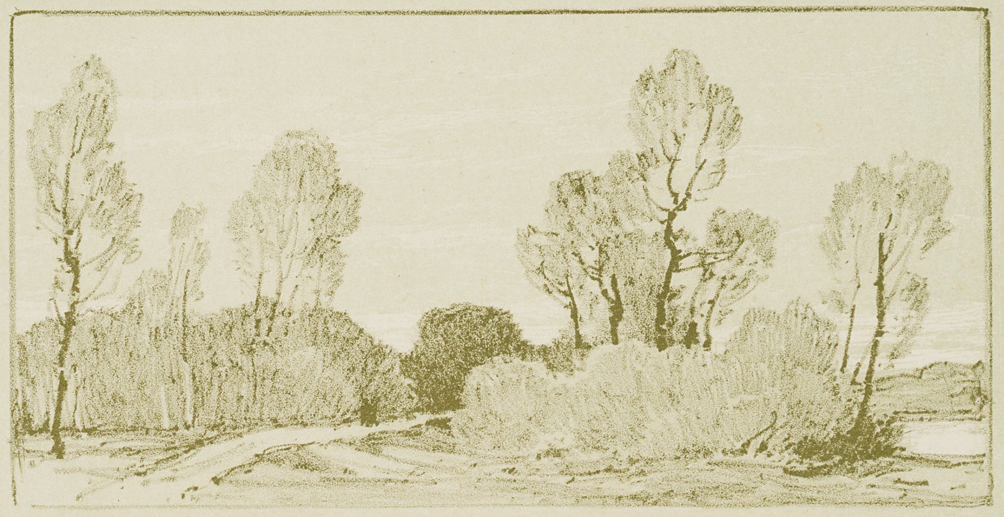 Auenlandschaft
