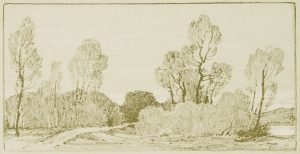 Auenlandschaft