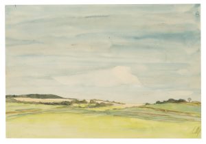 Leuchtende Hügellandschaft unter blaugrauem Himmel