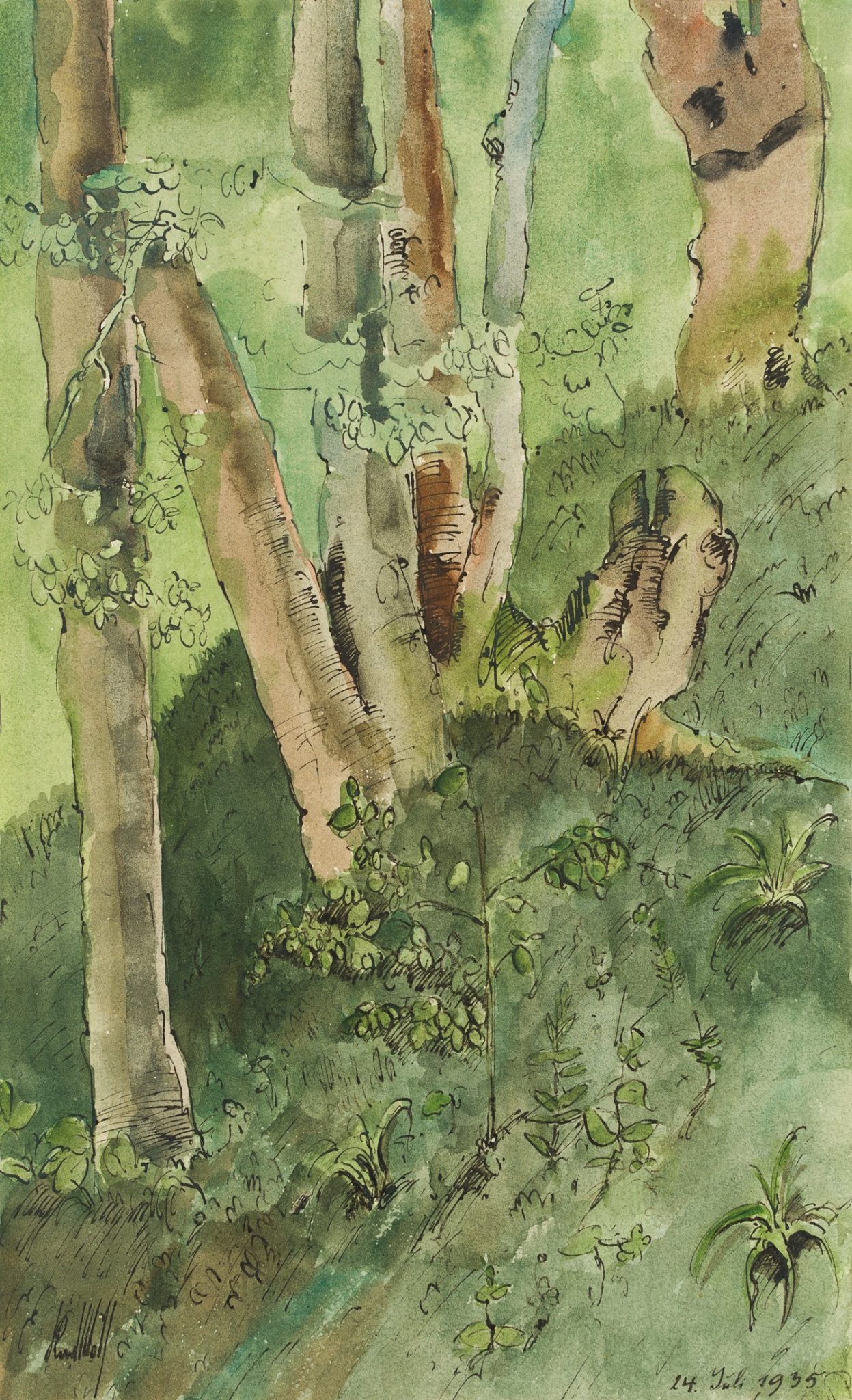 Bäume in Hanglage in einem Waldstück