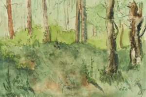 Blick in ein Waldstück im Isartal