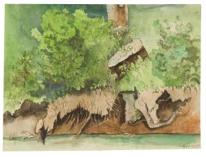 Ausgewaschenes Flussufer mit Baumstumpf