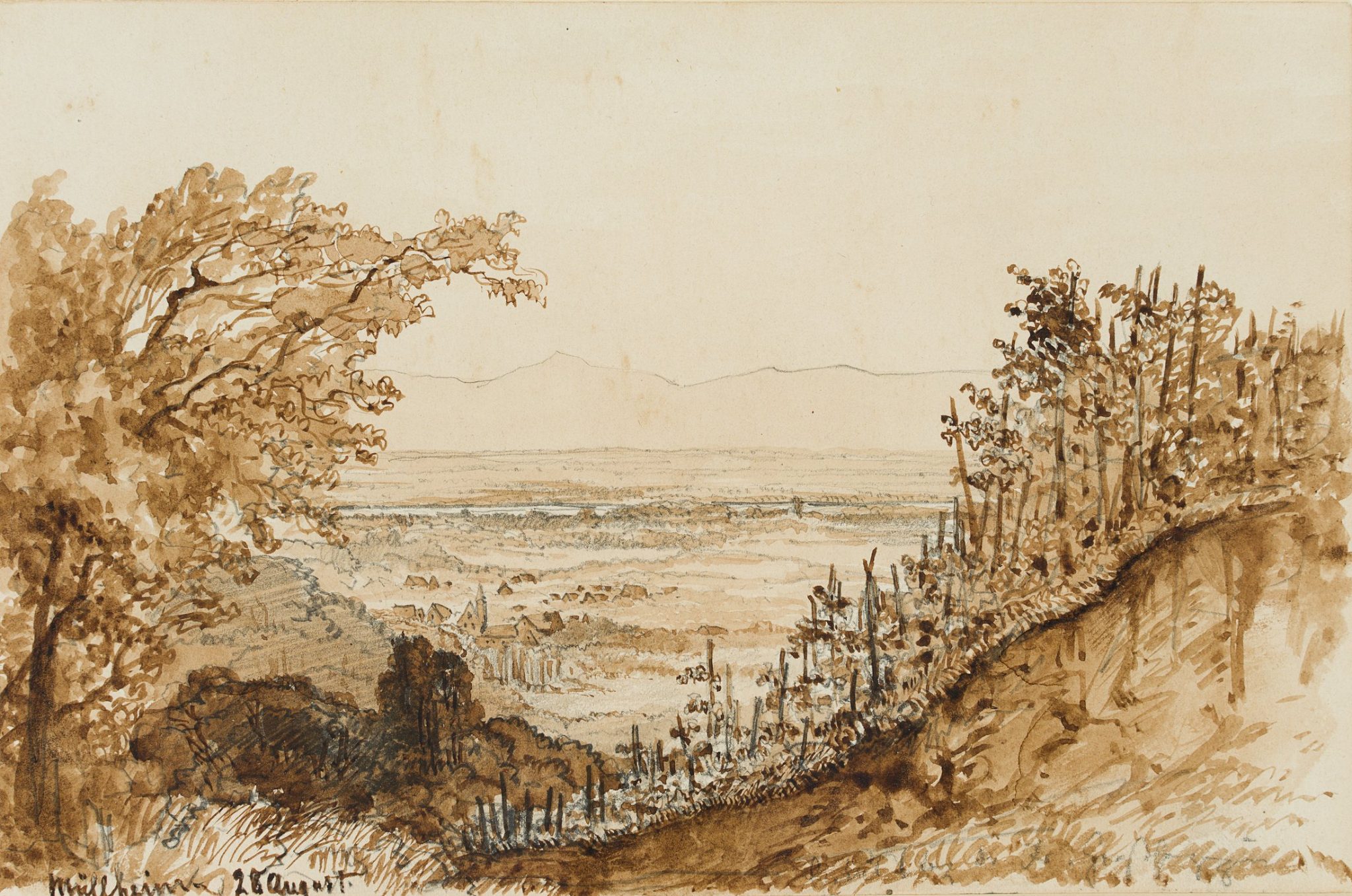 Weinberge im Markgräflerland
