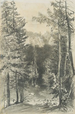 Naturimpression im Schwarzwald