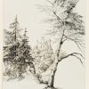 Ansicht 4
