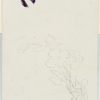 Ansicht 5