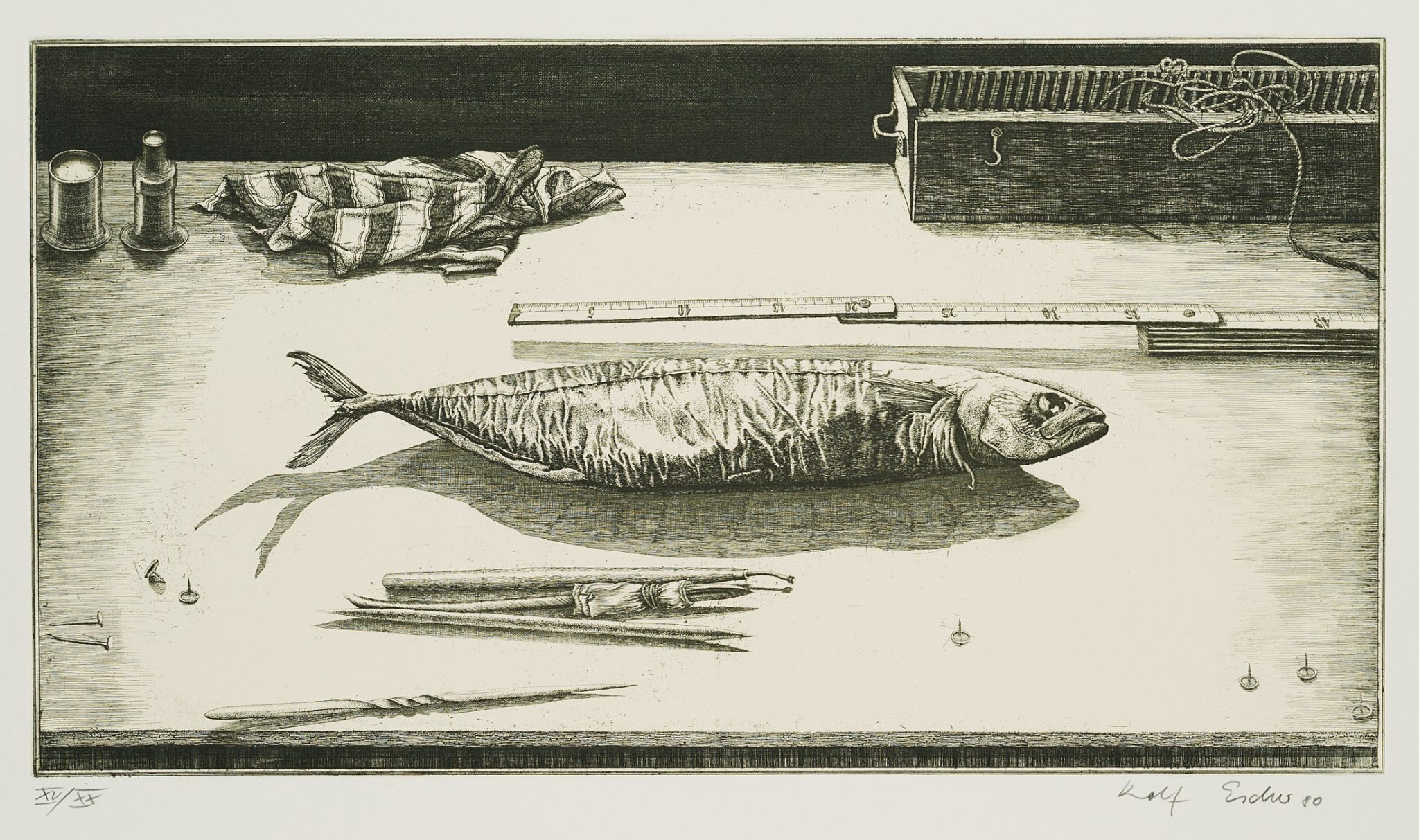 Radierfisch, 7. Zustand