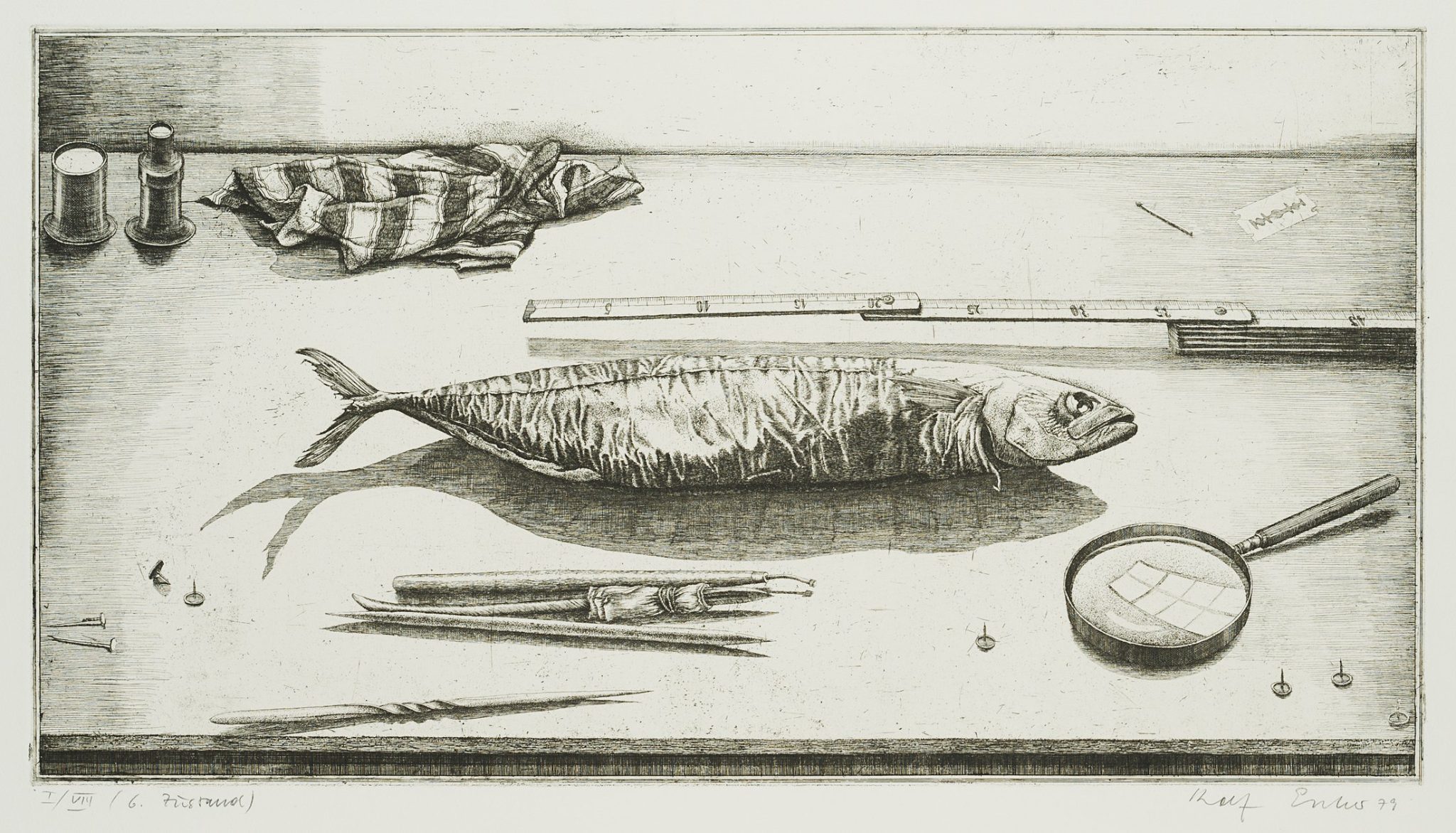 Radierfisch, 6. Zustand