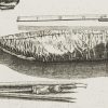 Ansicht 3