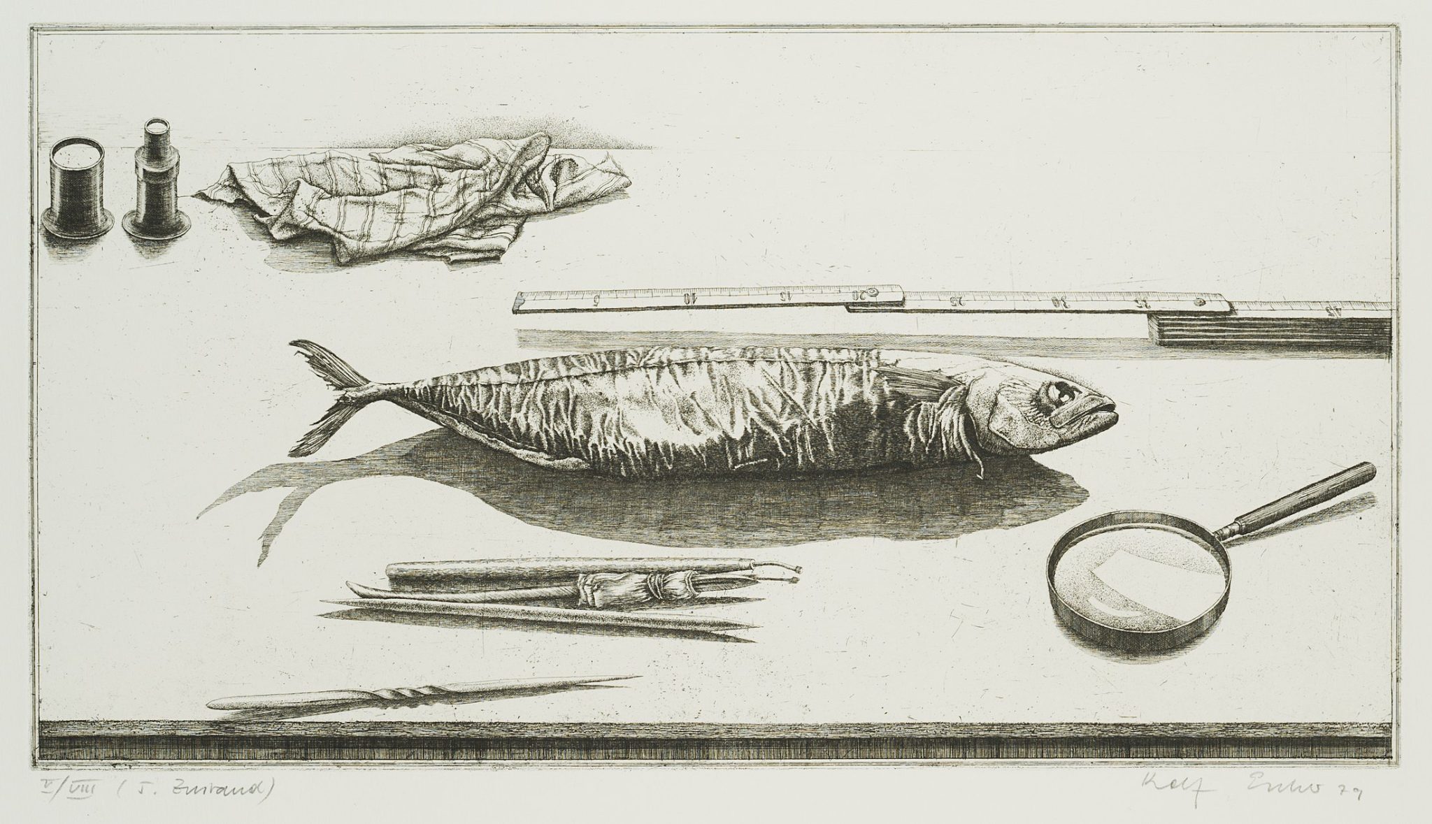 Radierfisch, 5. Zustand