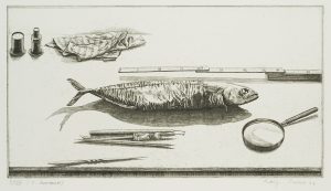 Radierfisch, 5. Zustand