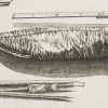 Ansicht 3