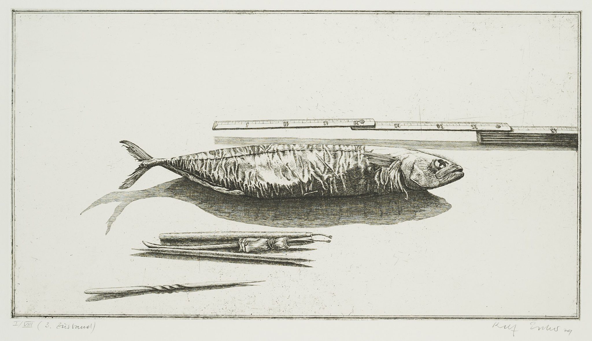 Radierfisch, 3. Zustand