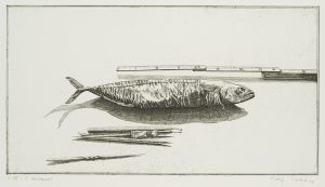 Radierfisch, 3. Zustand