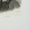 Ansicht 4
