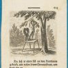 Ansicht 4