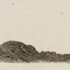 Ansicht 3