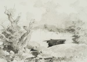 Bäume am Ufer