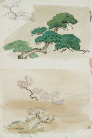 Japanische Baumstudien