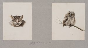 Zwei Tierstudien, Katze und Waldkauz