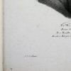 Ansicht 4