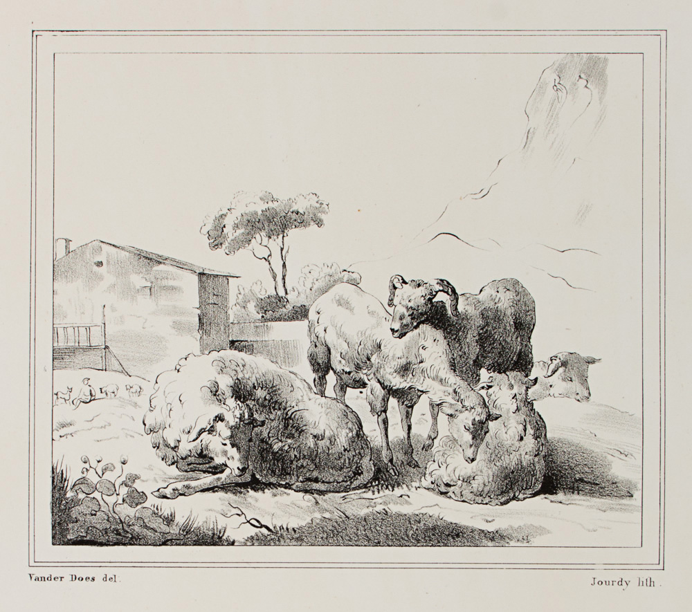 Werk von Jacob van der Does