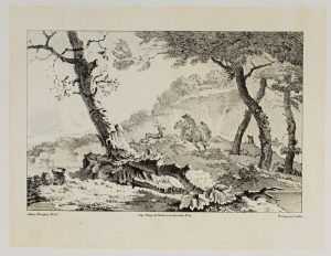 Auf der Jagd