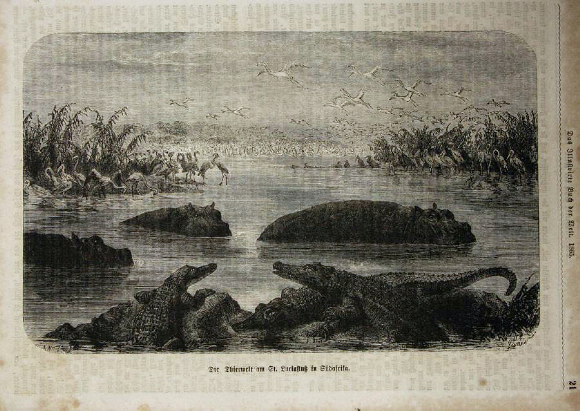 St. Lucia Fluss, Südafrika