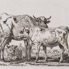 Ansicht 1