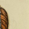 Ansicht 5