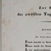 Ansicht 5