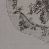 Ansicht 4