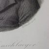 Ansicht 5