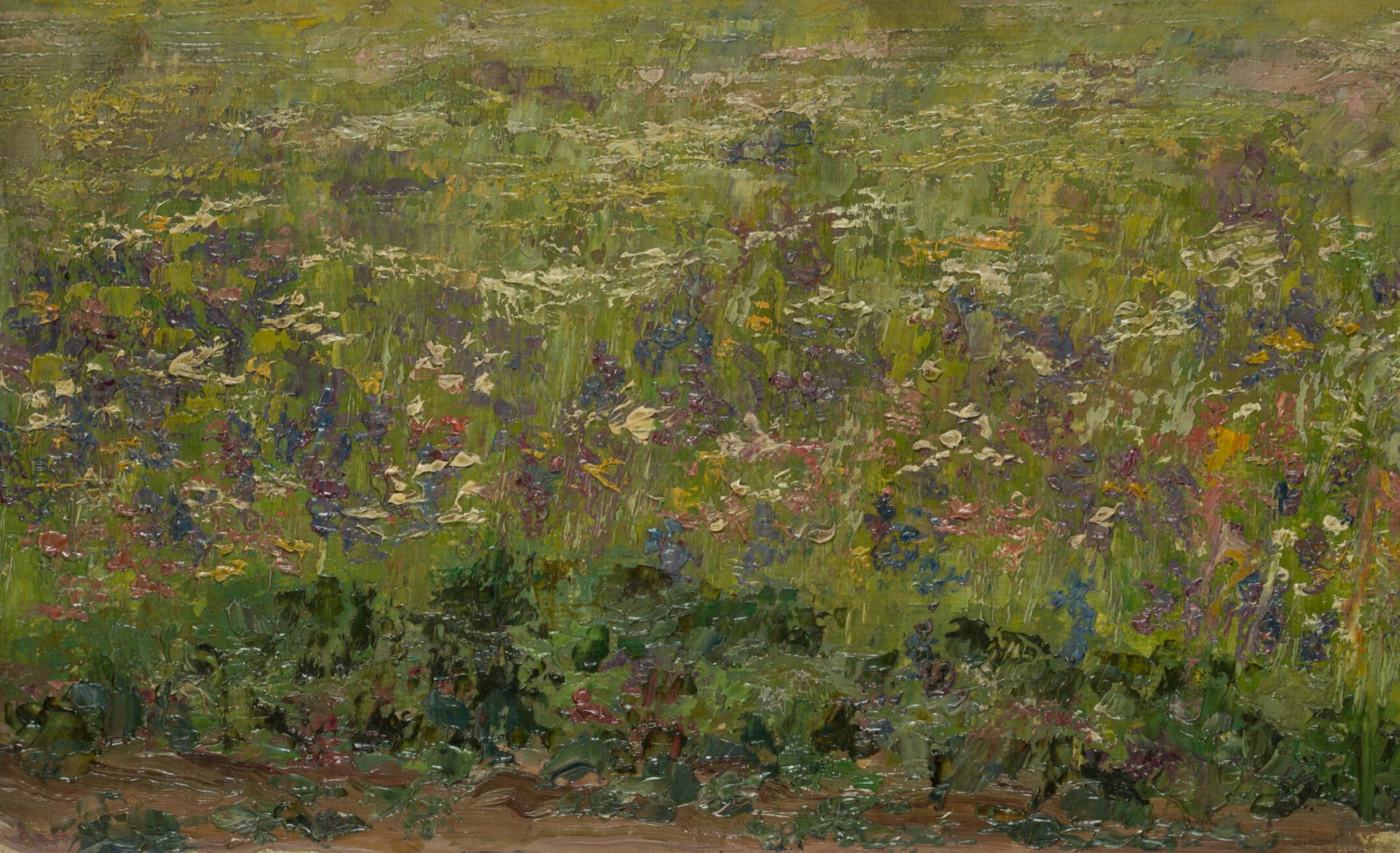 Sommerblumenwiese