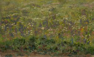 Sommerblumenwiese