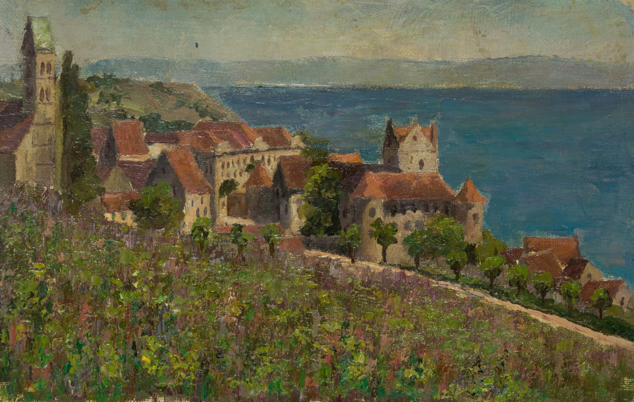 Blick aus Weinbergen nach Meersburg
