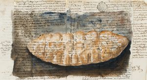 Italienisches Brot Nr. 291/B