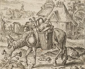 Packesel, Niederlande