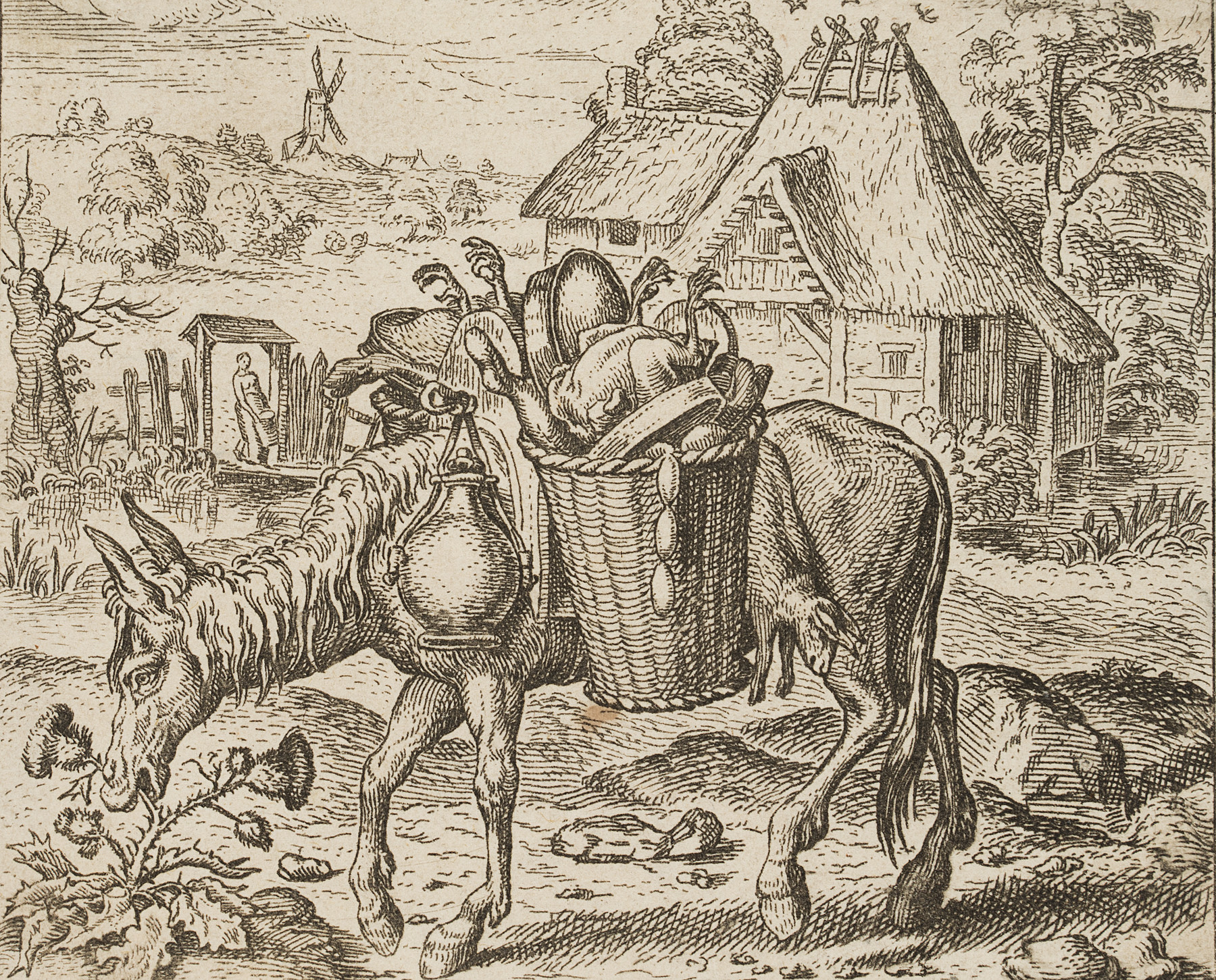 Packesel, Niederlande