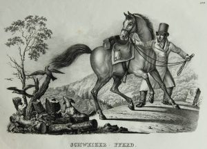 Schweizer Pferd