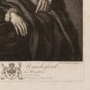 Ansicht 5