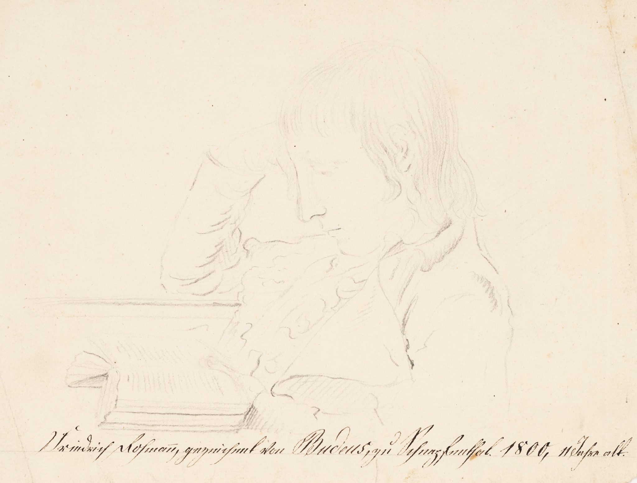 Porträt Friedrich Lohmann