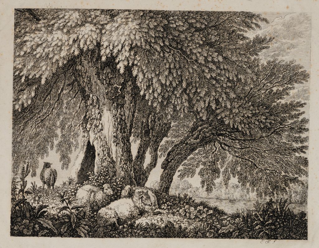 Werk von Emanuel Steiner